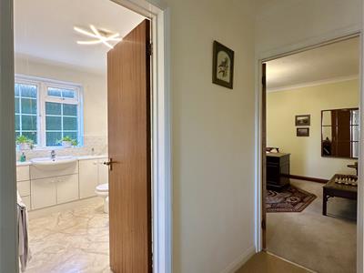 Picture 21